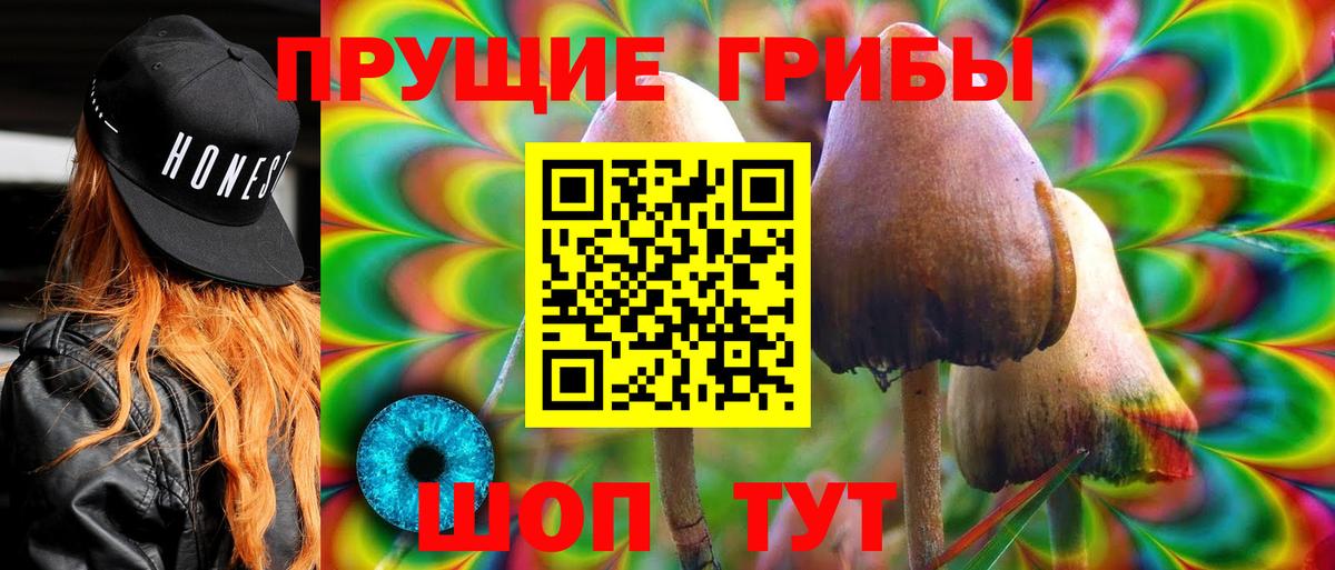 Арзамас  Псилоцибиновые грибы Psilocybine cubensis  Вход с VPN 