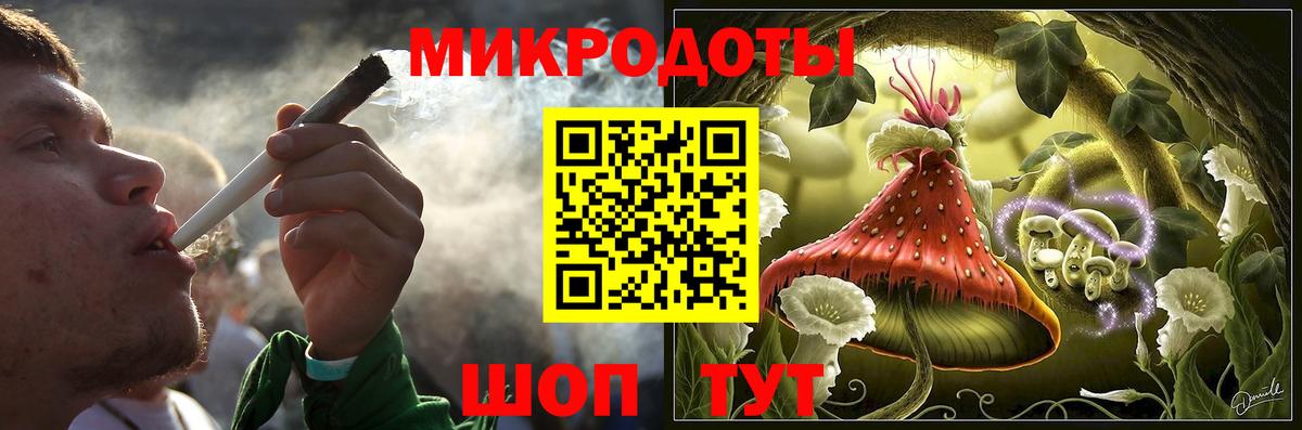 Галлюциногенные грибы Psilocybe Арзамас